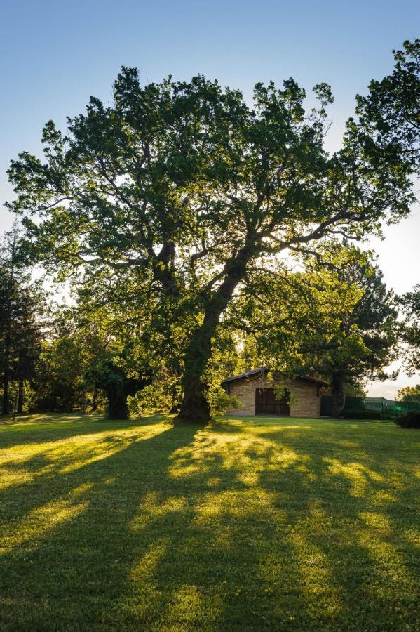 Convento Di San Francesco Mondaino Bed & Breakfast エクステリア 写真